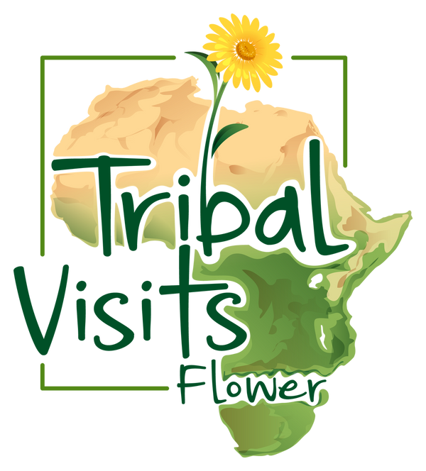 Tribal Visits